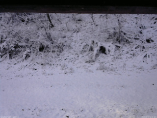 長野県菅平高原 ゆたか山荘 南側 2025/11/19 08:00