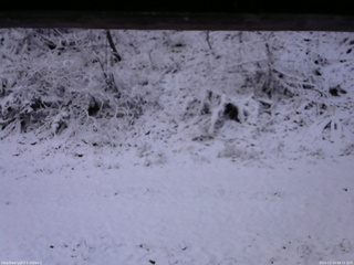 長野県菅平高原 ゆたか山荘 南側 2025/11/19 08:15