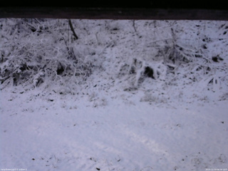 長野県菅平高原 ゆたか山荘 南側 2025/11/19 08:30