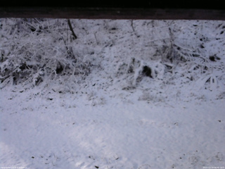 長野県菅平高原 ゆたか山荘 南側 2025/11/19 08:45