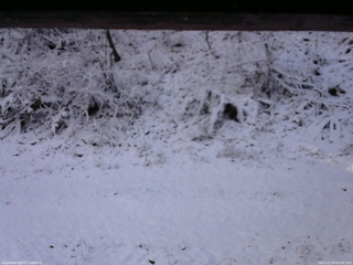 長野県菅平高原 ゆたか山荘 南側 2025/11/19 09:00