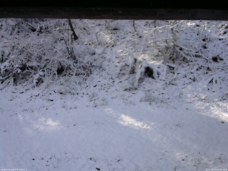 長野県菅平高原 ゆたか山荘 南側 2025/11/19 09:15