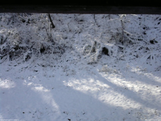 長野県菅平高原 ゆたか山荘 南側 2025/11/19 09:30