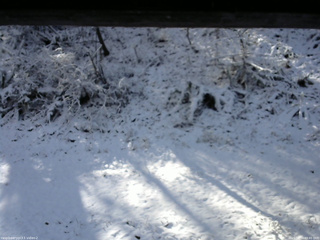 長野県菅平高原 ゆたか山荘 南側 2025/11/19 09:45