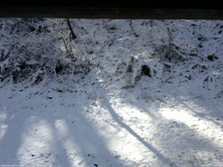 長野県菅平高原 ゆたか山荘 南側 2025/11/19 10:00