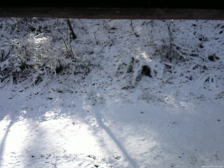 長野県菅平高原 ゆたか山荘 南側 2025/11/19 10:15