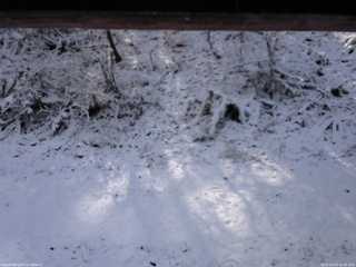 長野県菅平高原 ゆたか山荘 南側 2025/11/19 10:30