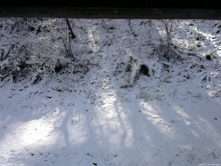 長野県菅平高原 ゆたか山荘 南側 2025/11/19 10:45