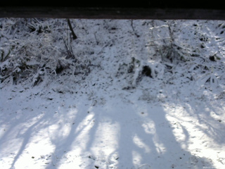 長野県菅平高原 ゆたか山荘 南側 2025/11/19 11:15