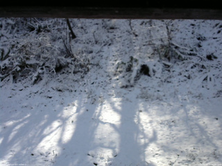 長野県菅平高原 ゆたか山荘 南側 2025/11/19 11:30