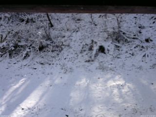 長野県菅平高原 ゆたか山荘 南側 2025/11/19 11:45