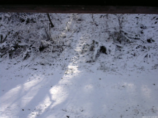 長野県菅平高原 ゆたか山荘 南側 2025/11/19 12:00