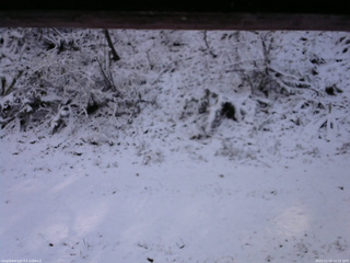 長野県菅平高原 ゆたか山荘 南側 2025/11/19 12:15