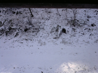 長野県菅平高原 ゆたか山荘 南側 2025/11/19 12:30