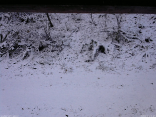 長野県菅平高原 ゆたか山荘 南側 2025/11/19 12:45