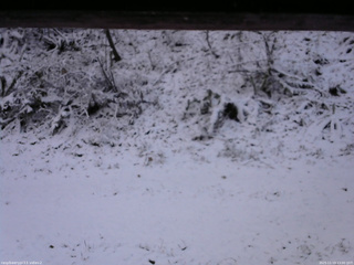 長野県菅平高原 ゆたか山荘 南側 2025/11/19 13:00