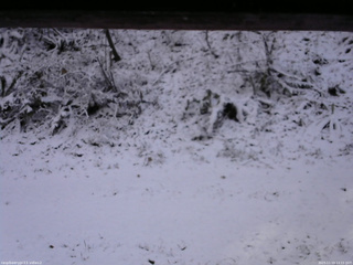 長野県菅平高原 ゆたか山荘 南側 2025/11/19 13:15