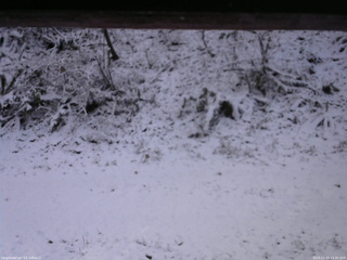 長野県菅平高原 ゆたか山荘 南側 2025/11/19 13:30