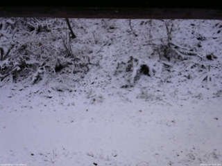 長野県菅平高原 ゆたか山荘 南側 2025/11/19 13:45