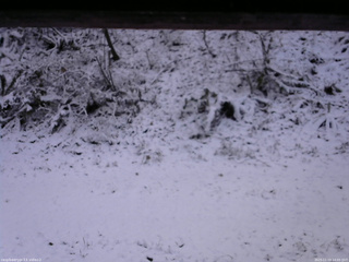 長野県菅平高原 ゆたか山荘 南側 2025/11/19 14:00