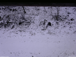 長野県菅平高原 ゆたか山荘 南側 2025/11/19 14:15