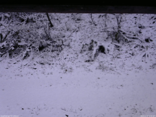 長野県菅平高原 ゆたか山荘 南側 2025/11/19 14:30