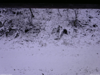 長野県菅平高原 ゆたか山荘 南側 2025/11/19 14:45