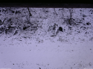 長野県菅平高原 ゆたか山荘 南側 2025/11/19 15:15