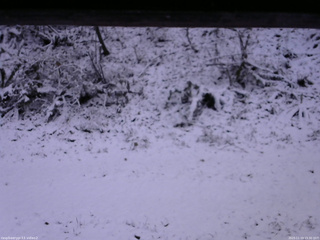 長野県菅平高原 ゆたか山荘 南側 2025/11/19 15:30