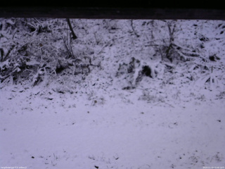 長野県菅平高原 ゆたか山荘 南側 2025/11/19 15:45