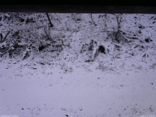 長野県菅平高原 ゆたか山荘 南側 2025/11/19 16:00