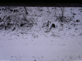 長野県菅平高原 ゆたか山荘 南側 2025/11/19 16:15