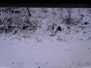 長野県菅平高原 ゆたか山荘 南側 2025/11/19 16:30