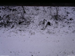 長野県菅平高原 ゆたか山荘 南側 2025/11/19 16:45