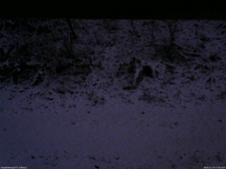 長野県菅平高原 ゆたか山荘 南側 2025/11/19 17:00