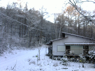 長野県菅平高原 ゆたか山荘 西側(坂上) 2025/11/19 14:15