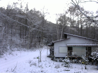 長野県菅平高原 ゆたか山荘 西側(坂上) 2025/11/19 15:30