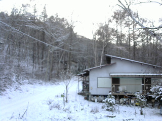 長野県菅平高原 ゆたか山荘 西側(坂上) 2025/11/19 16:15