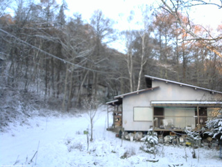 長野県菅平高原 ゆたか山荘 西側(坂上) 2025/11/20 06:45