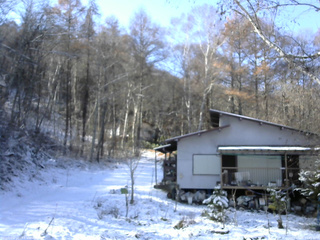 長野県菅平高原 ゆたか山荘 西側(坂上) 2025/11/20 11:45