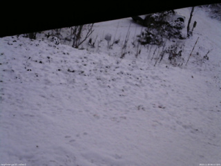 長野県菅平高原 ゆたか山荘 駐車場 2025/11/20 06:15