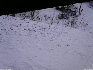 長野県菅平高原 ゆたか山荘 駐車場 2025/11/20 06:30