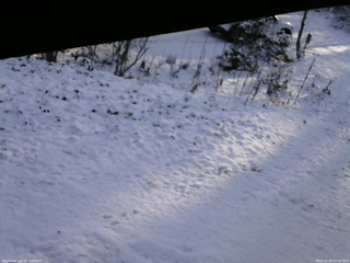 長野県菅平高原 ゆたか山荘 駐車場 2025/11/20 07:45