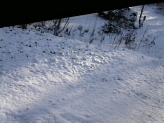 長野県菅平高原 ゆたか山荘 駐車場 2025/11/20 08:00