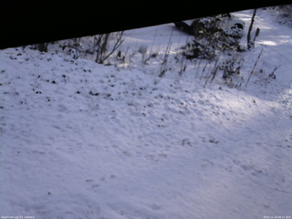 長野県菅平高原 ゆたか山荘 駐車場 2025/11/20 08:15