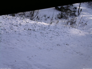 長野県菅平高原 ゆたか山荘 駐車場 2025/11/20 08:30