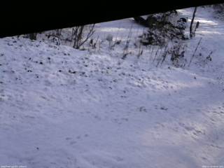 長野県菅平高原 ゆたか山荘 駐車場 2025/11/20 08:45