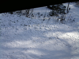 長野県菅平高原 ゆたか山荘 駐車場 2025/11/20 09:00