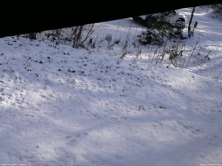 長野県菅平高原 ゆたか山荘 駐車場 2025/11/20 09:15