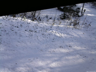 長野県菅平高原 ゆたか山荘 駐車場 2025/11/20 09:30